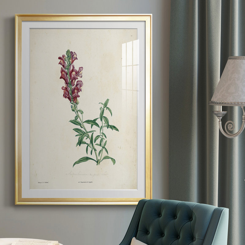 Traditional Botanical I - reproduction de cadre photo, Or, H 36,5 po x l 26,5 po x P 1 po
