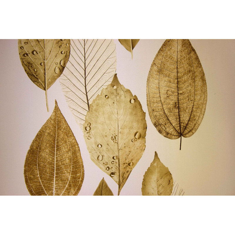 Rajesh Blackout Single Curtain Panel, Brown, 150cm H x 145cm W