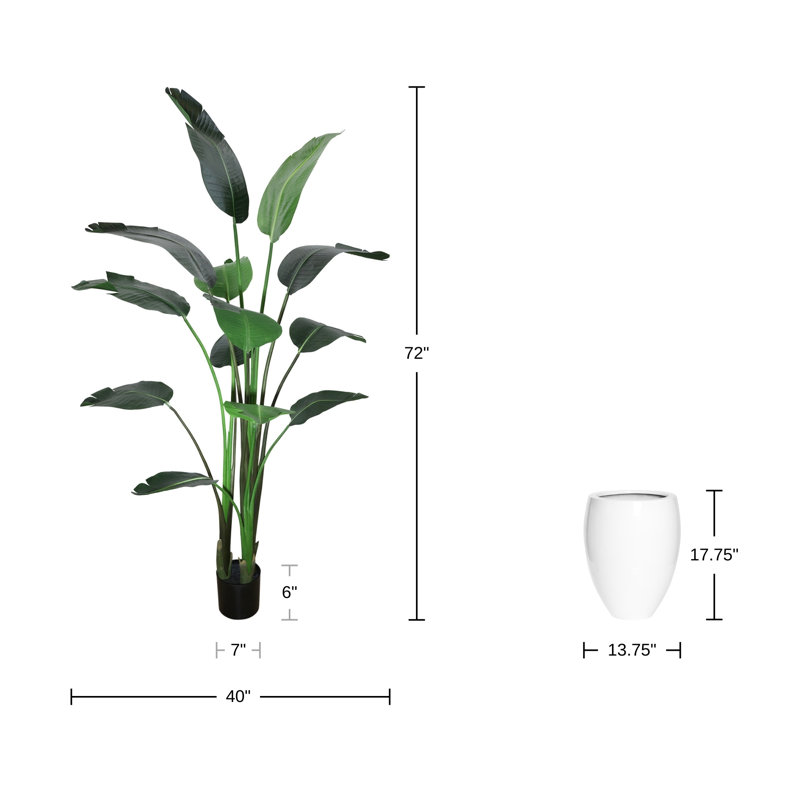 6' Bird of Paradise Tree with Fiberstone Planter, White