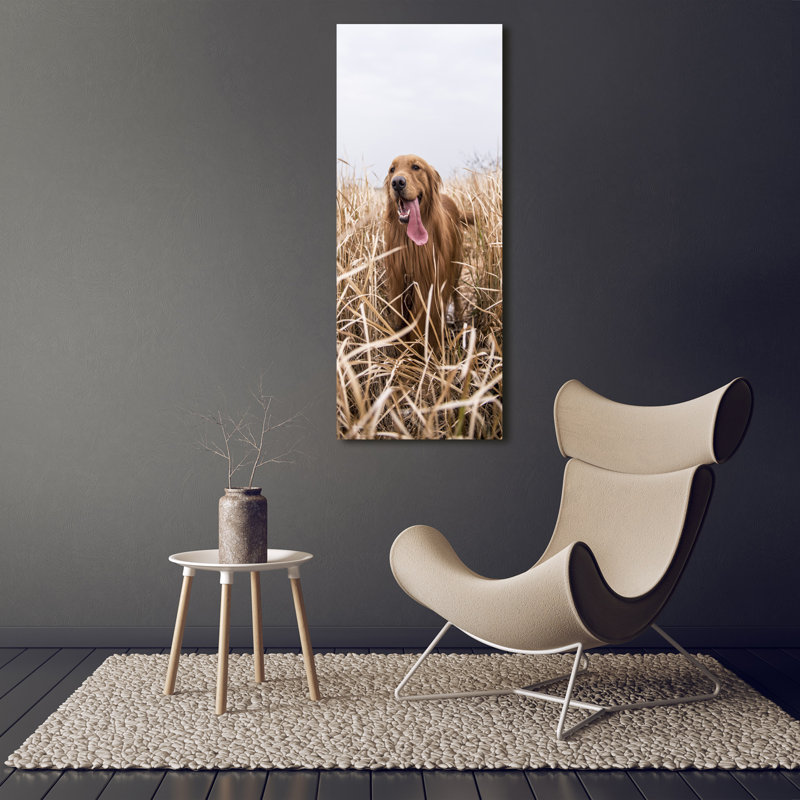 Golden Retriever - Wrapped Canvas Print