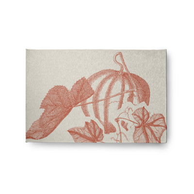 Chenille Indoor Rug
