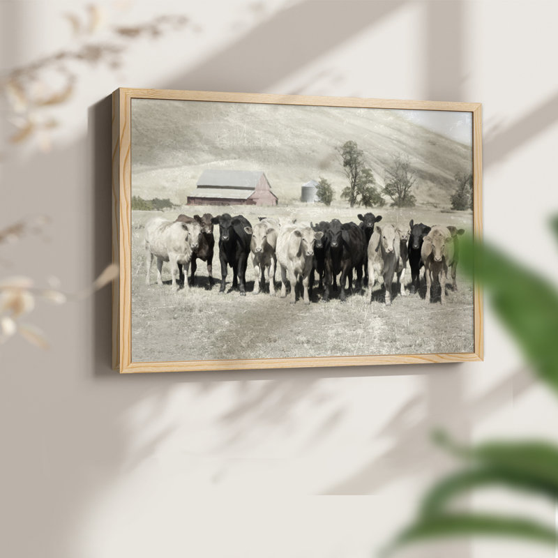 Cattle Ranch -Framed Print - Restickable, Natural, 11" H x 14" W