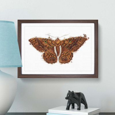 Sable Moth by George Shaw - Picture Frame Painting Print