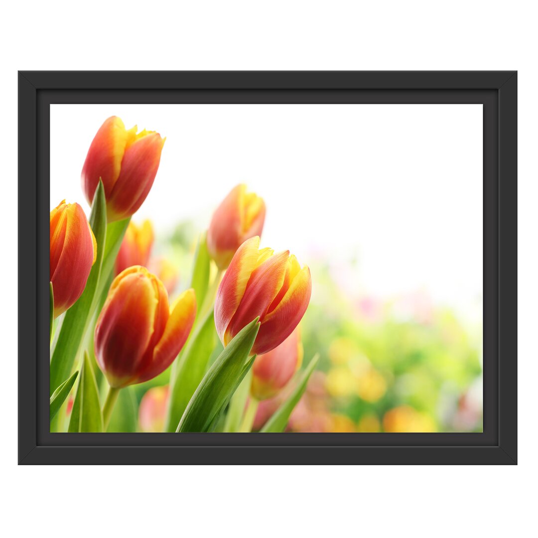 Gerahmtes Wandbild Bunte Tulpenwiese