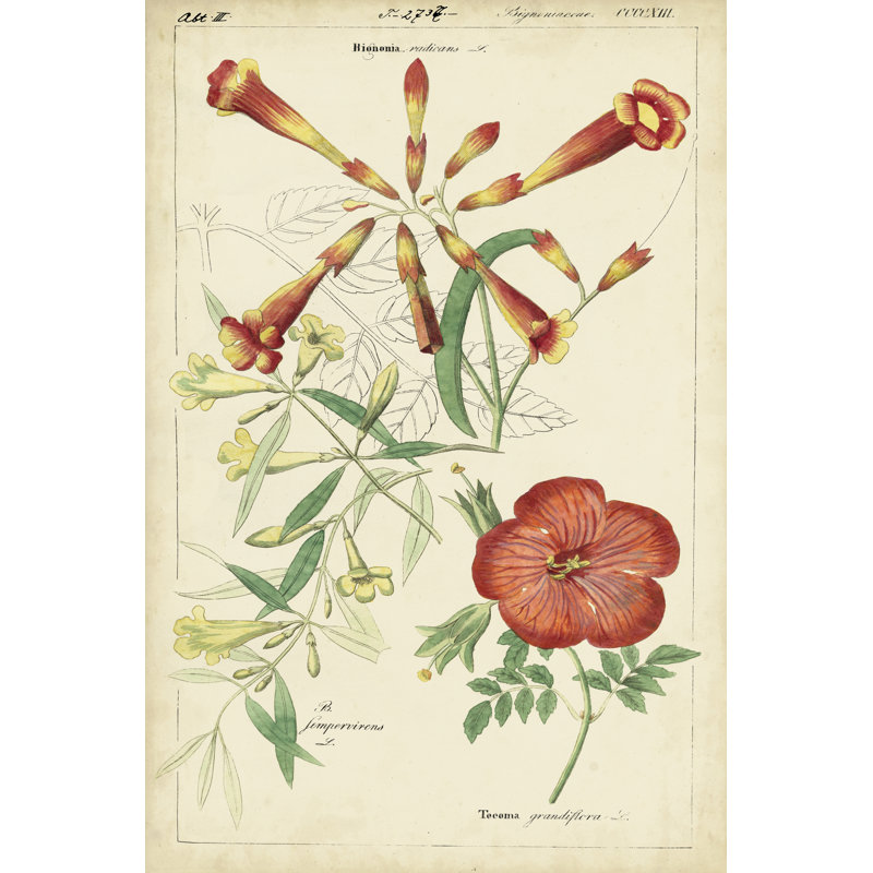 Spring Blooms I - Wrapped Canvas Art Prints, 46cm H x 30cm W x 3.8cm D