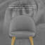 Chaises de salle à manger Cha Chaises d'appoint rembourrées en velours avec pieds dorés-90723253