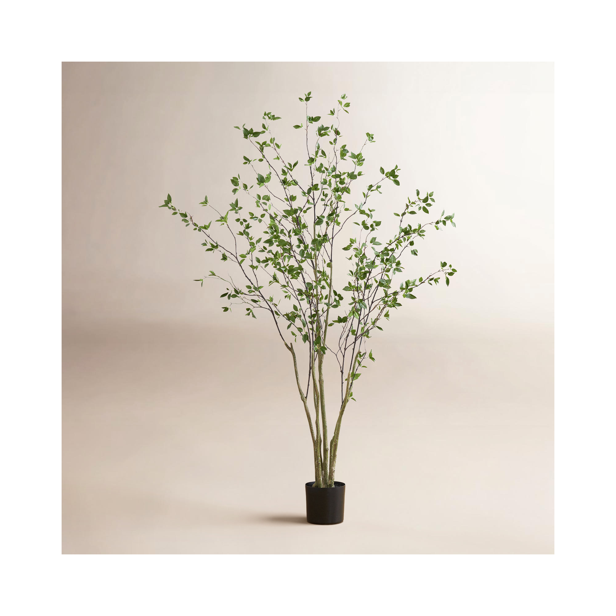 Anzavia 84'' Faux Citrus Tree in Pot
