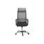 Tavion Office Chair