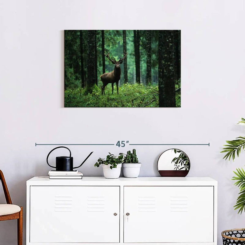 Brampt Elk In Forest, 20'' H x 30'' W