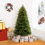 Arbre de Noël traditionnel illuminé avec lumières multicolores-849073194