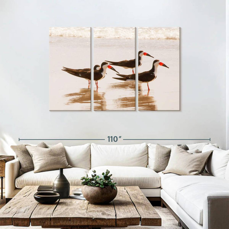 Brampt A Few Black Skimmers I, H 48 po x l 74 po