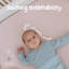Cotton 2 - Piece Cot Fitted Sheet-1391794318-1391794316