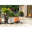 Westley Weather Resistant Planter Feet