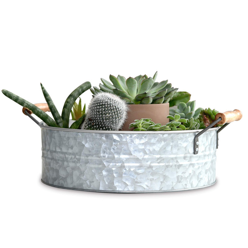 Metal Tray