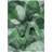 Altair Washable Abstract Indoor / Outdoor Rug-56077799