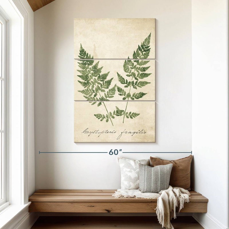 Harnek Vintage Ferns No Border, H 32 po x l 20 po
