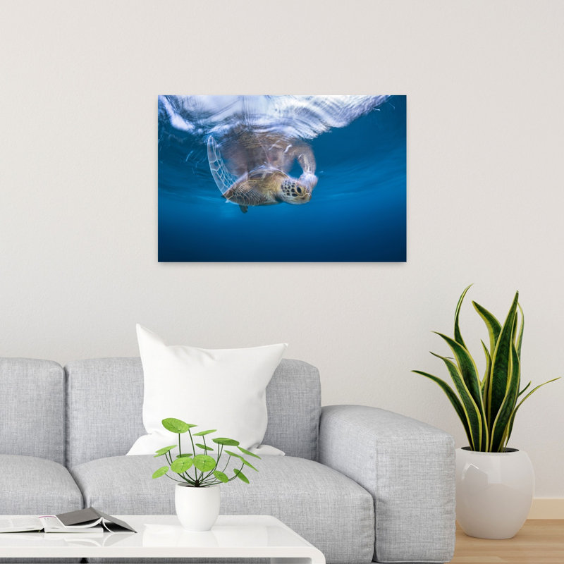 Peaceful Sea Turtle Swim Peaceful Serene Tranquil Turtle Nature Ocean Wall Art Print 1 Piece Wrapped Canvas Wall Art