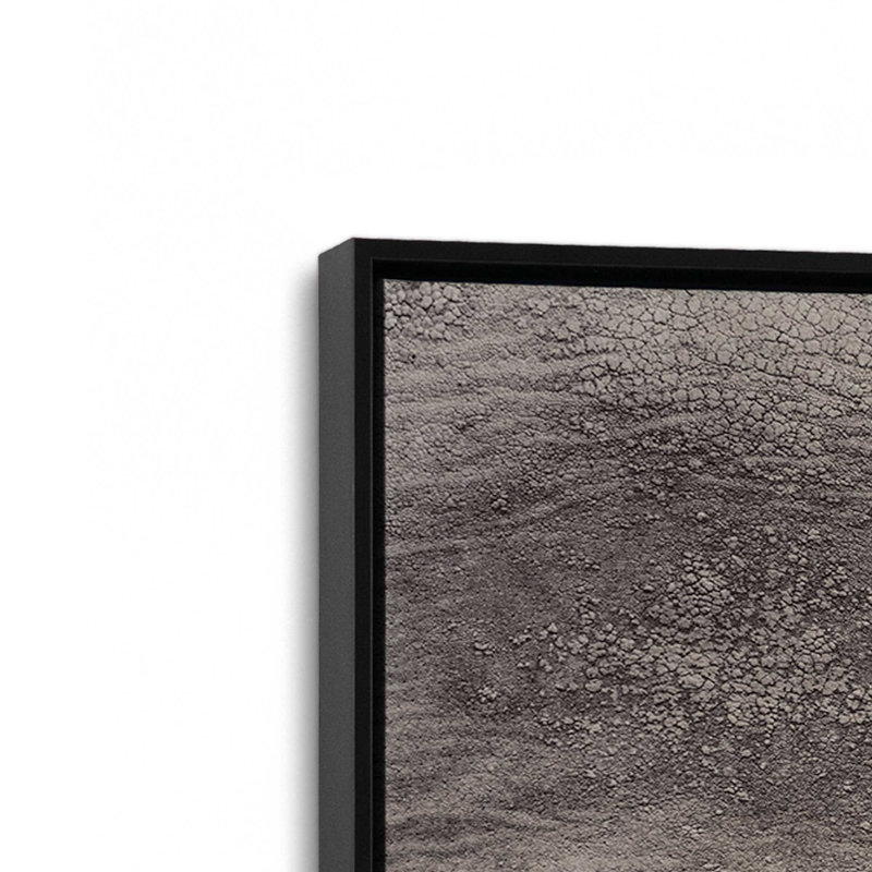 «Wise Gaze», reproduction sur toile, H 36,75 po x l 24,75 po x P 1,75 po, Cadre flottant noir satiné