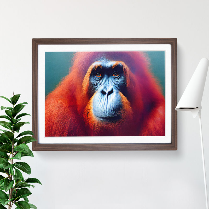 XH1022-8646X Superb Orangutan 1 Piece Single Picture Frame Wall Art, 25cm H x 34cm W x 2cm D, Walnut