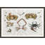 Summer Crabs Giclee Print