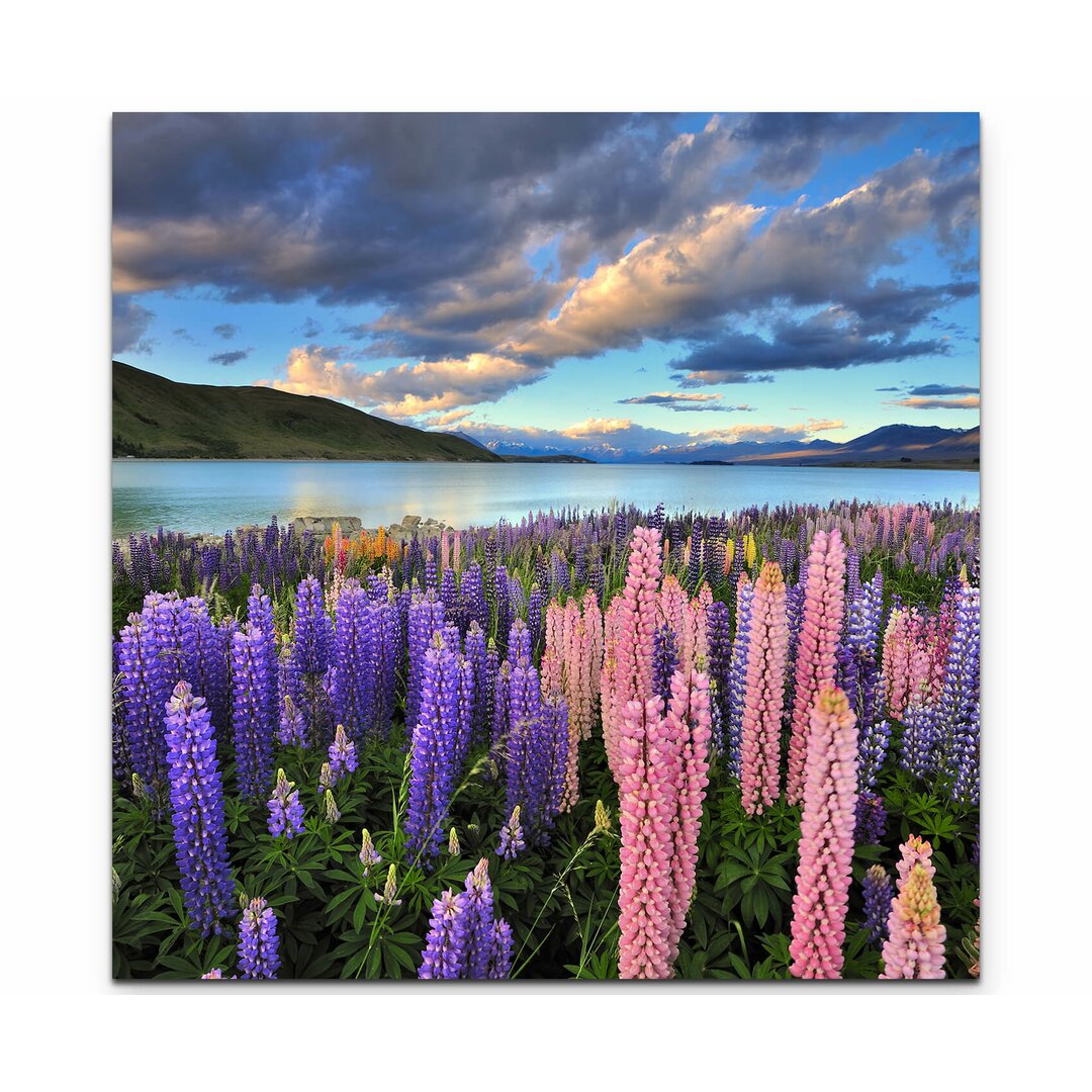 Leinwandbild Lupinen am Ufer des Lake Tekapo – Neuseeland