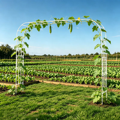 118X98” Garden Arch Trellis For Climbing Plants