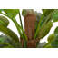 130cm Faux Banana Leaf Plant in Pot
