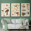 Champignon X-91887170-91887168