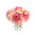 Rose/beige