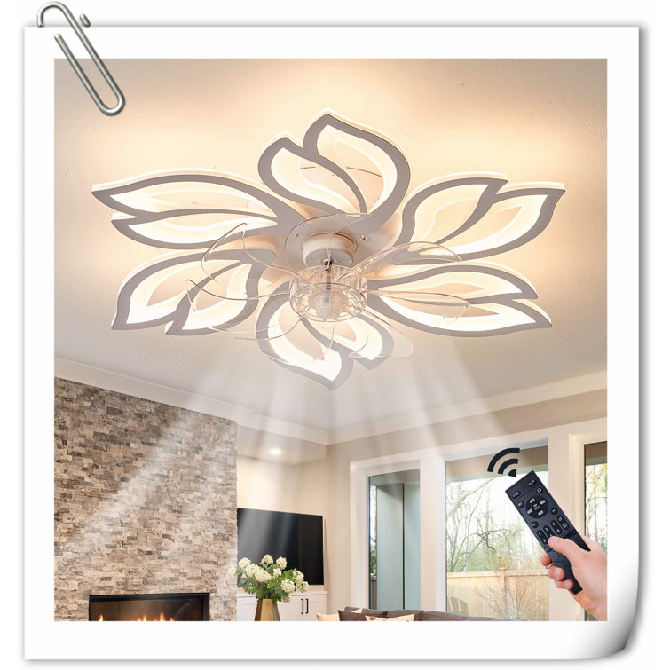 Museau Ceiling Fan with LED Lights
