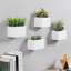 Ceramic Wall Planter