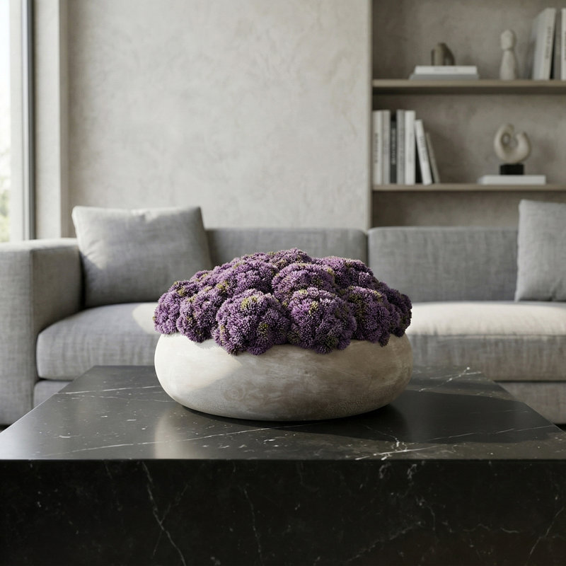 Sedum Arranged in a Stone Planter, 9" H x 15" W x 15" D, Purple