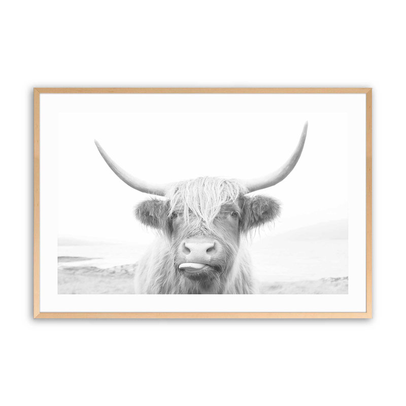 Imprimé de vache Highland ludique, H 17 po x l 21 po x P 1,25 po, Érable brut encadré