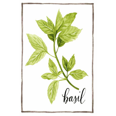 Watercolour Herbs I by Grace Popp - Wrapped Canvas Painting