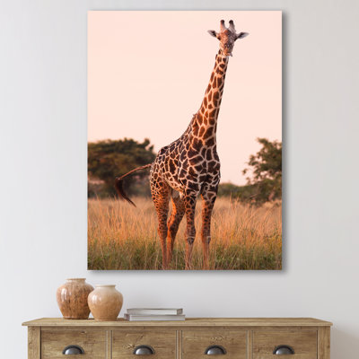 " African Giraffe In The Wild I "