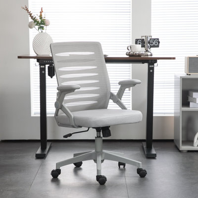 Brayden Studio Office Chair