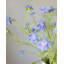 Blue Silk Cornflower 36"