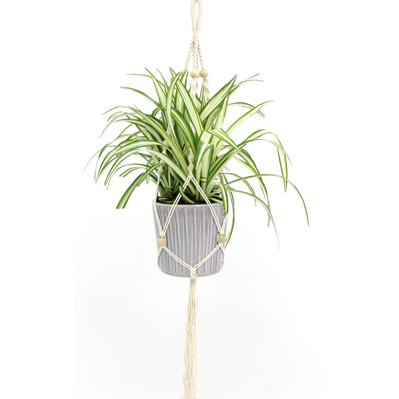 Support pour plante tressé en macramé, H 48 po x l 1,75 po x P 1,75 po