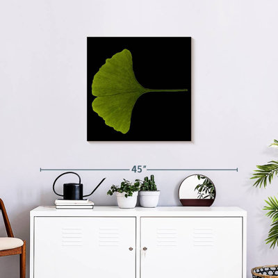 Feuille de ginkgo en gros plan
