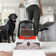 Hoover Powerdash Pet+ Compact Carpet Cleaner, Lightweight, FH50704V
