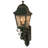 Arnette Steel Armed Sconce