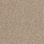 Wallis Wallpaper-2146869548