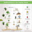 Plant Stand - Set of 10-53632717