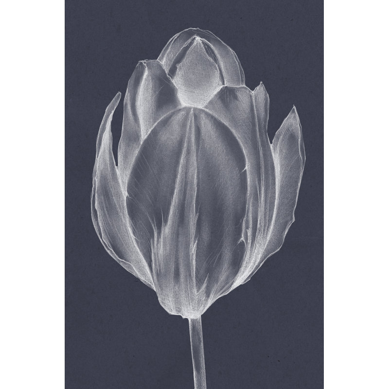 Monochrome Tulip I - Wrapped Canvas Print, 76cm H x 51cm W