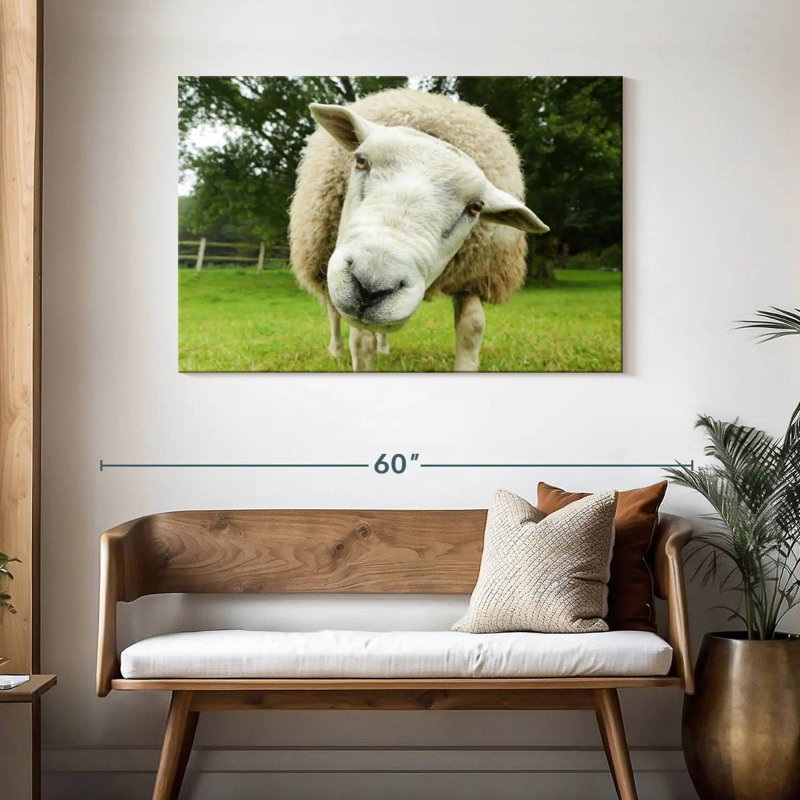 Brampt Nosy Sheep, 30" H x 45" W