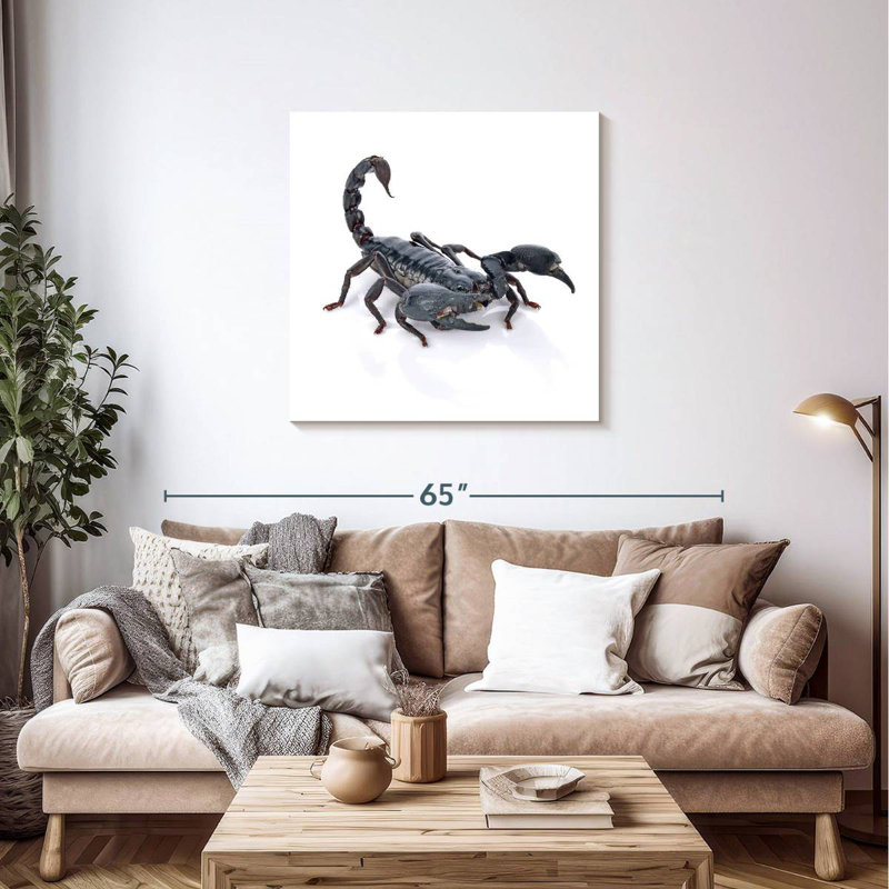 Crowle Emperor Scorpion, 36" H x 36" W