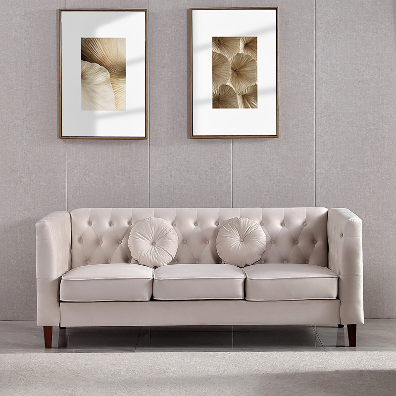 Shonetta 81.5'' Velvet Sofa, Beige Velvet