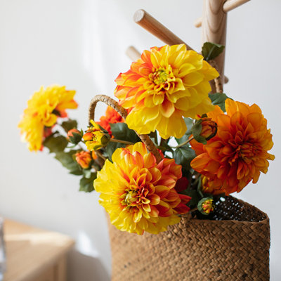Tige de dahlia