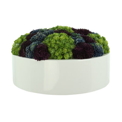 Sedum and Chick Succulent Arrangement