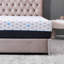 Matelas en mousse viscoélastique imprégnée de charbon Alwyn Home Nabu-1652887019